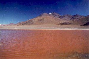 Laguna Colorada