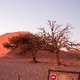 Namib Naukluft NP