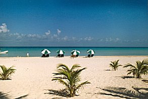 http://www.tweereizigers.nl/foto/mexico/verslag/isla-mujeres-strand.jpg